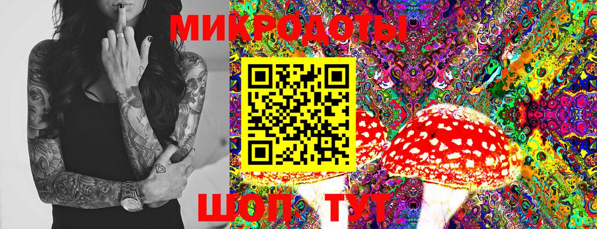 Псилоцибиновые грибы Cubensis Малгобек
