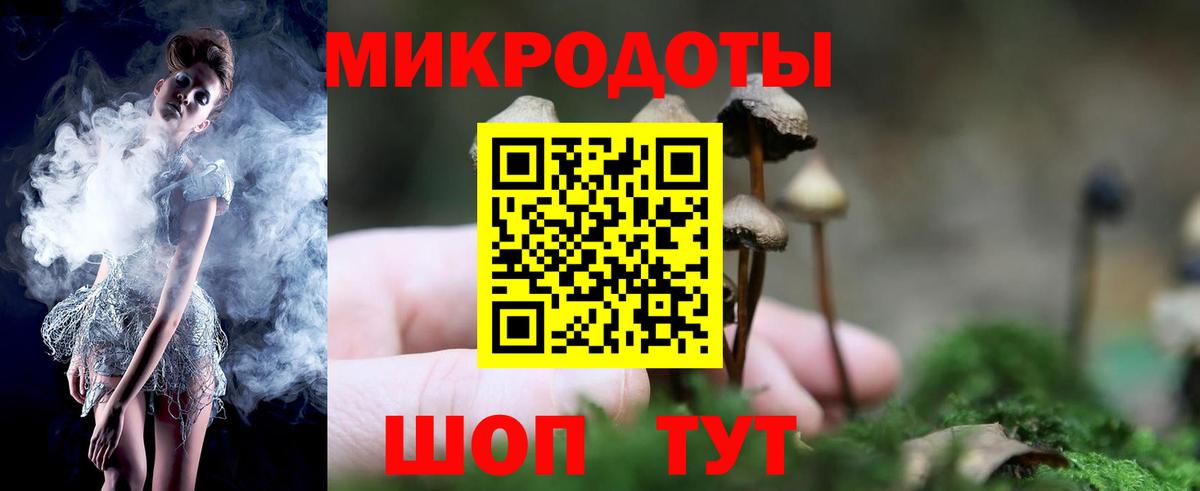 Малгобек  Псилоцибиновые грибы Cubensis  купить наркоту  Вход с VPN 